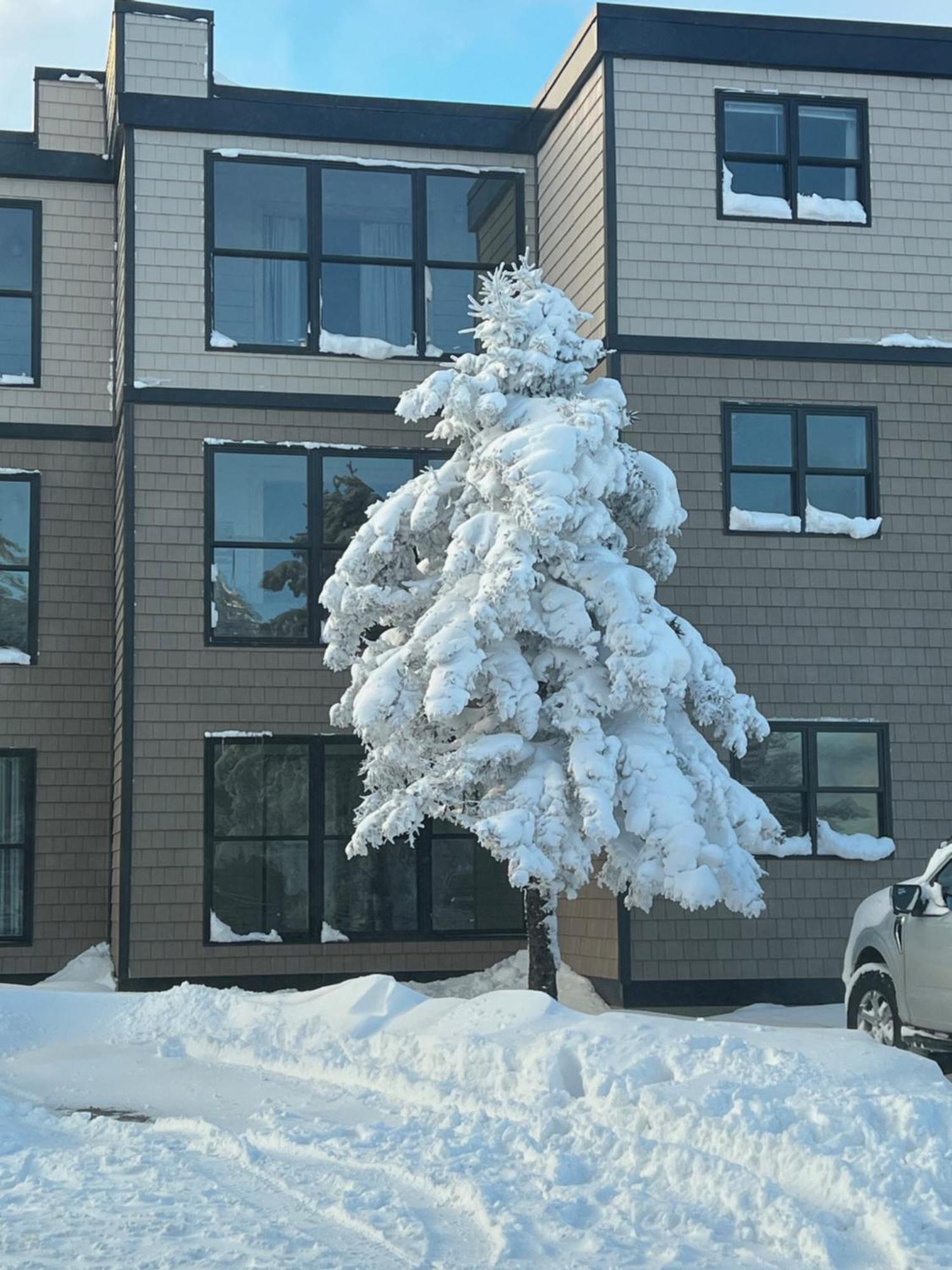 Snowcrest Condo Walking Distance To Slopes Snowshoe Exteriér fotografie